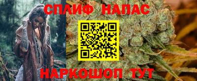 jwh Будённовск