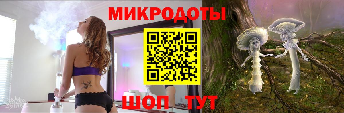 Галлюциногенные грибы Psilocybe Рубцовск