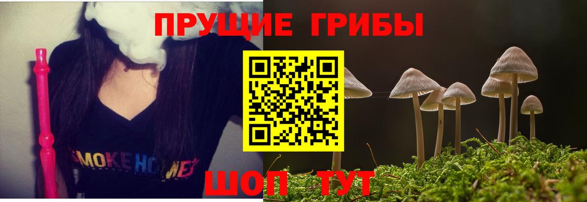 Псилоцибиновые грибы GOLDEN TEACHER  Вход с VPN  Рубцовск  Галлюциногенные грибы Cubensis 